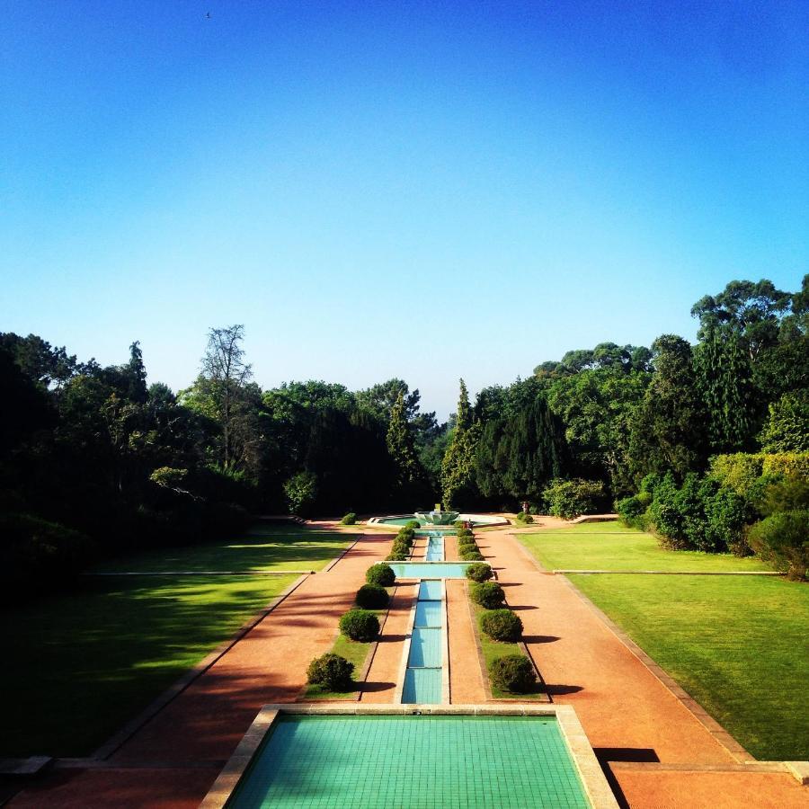 Tanger - Foz, Serralves & Homestay